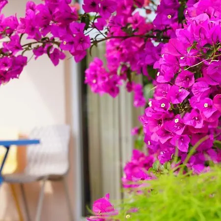 Bed & Breakfast Yelken Milas